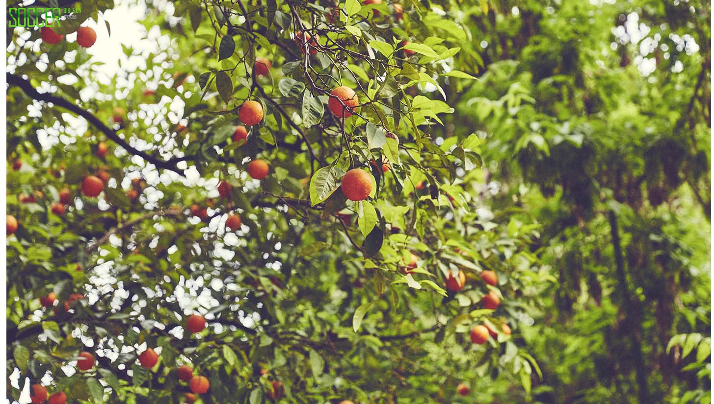 enterprise-seville-general_0036__j0a1751