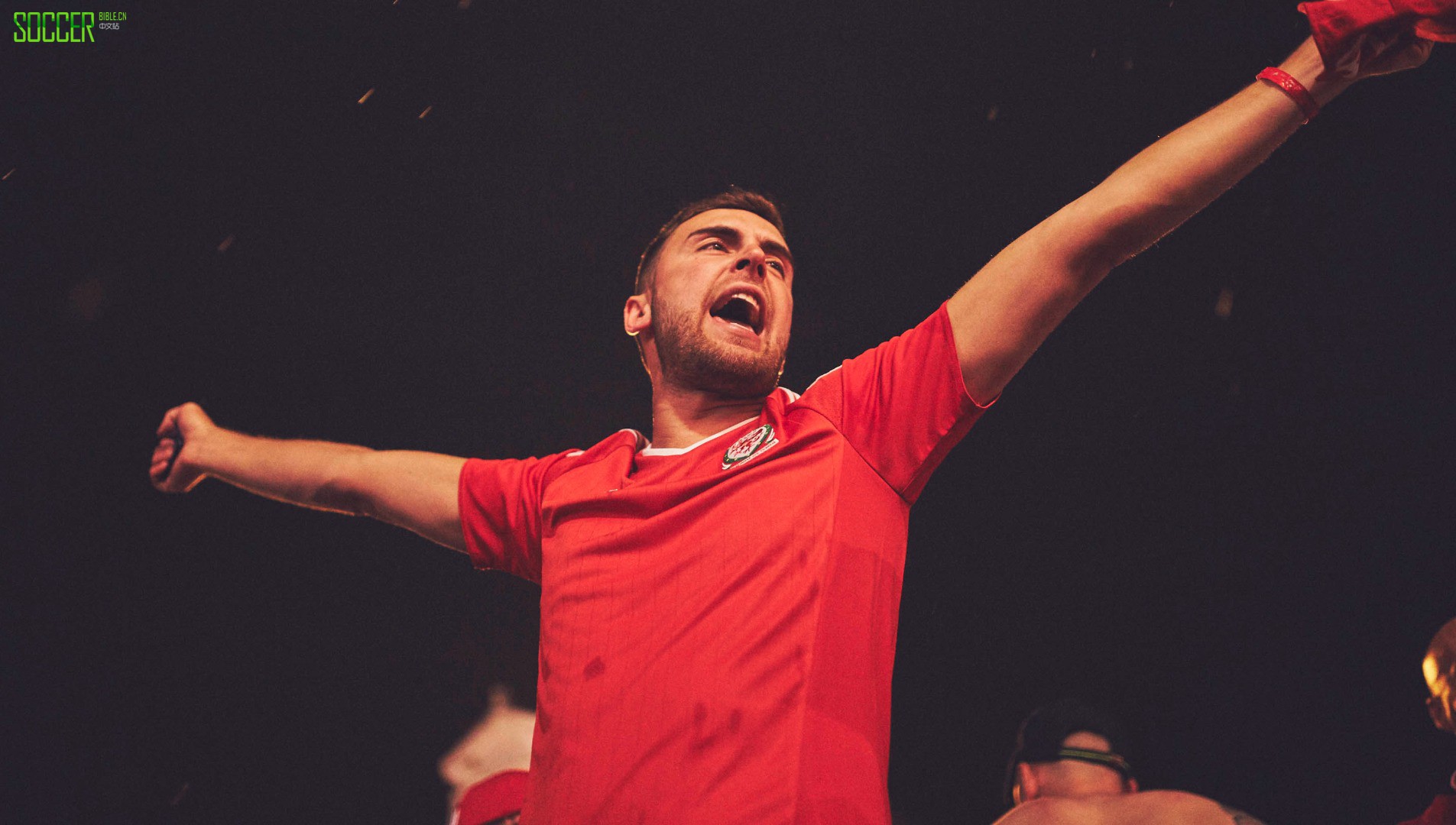 wales-fans-sb_0018_wales-fans-18