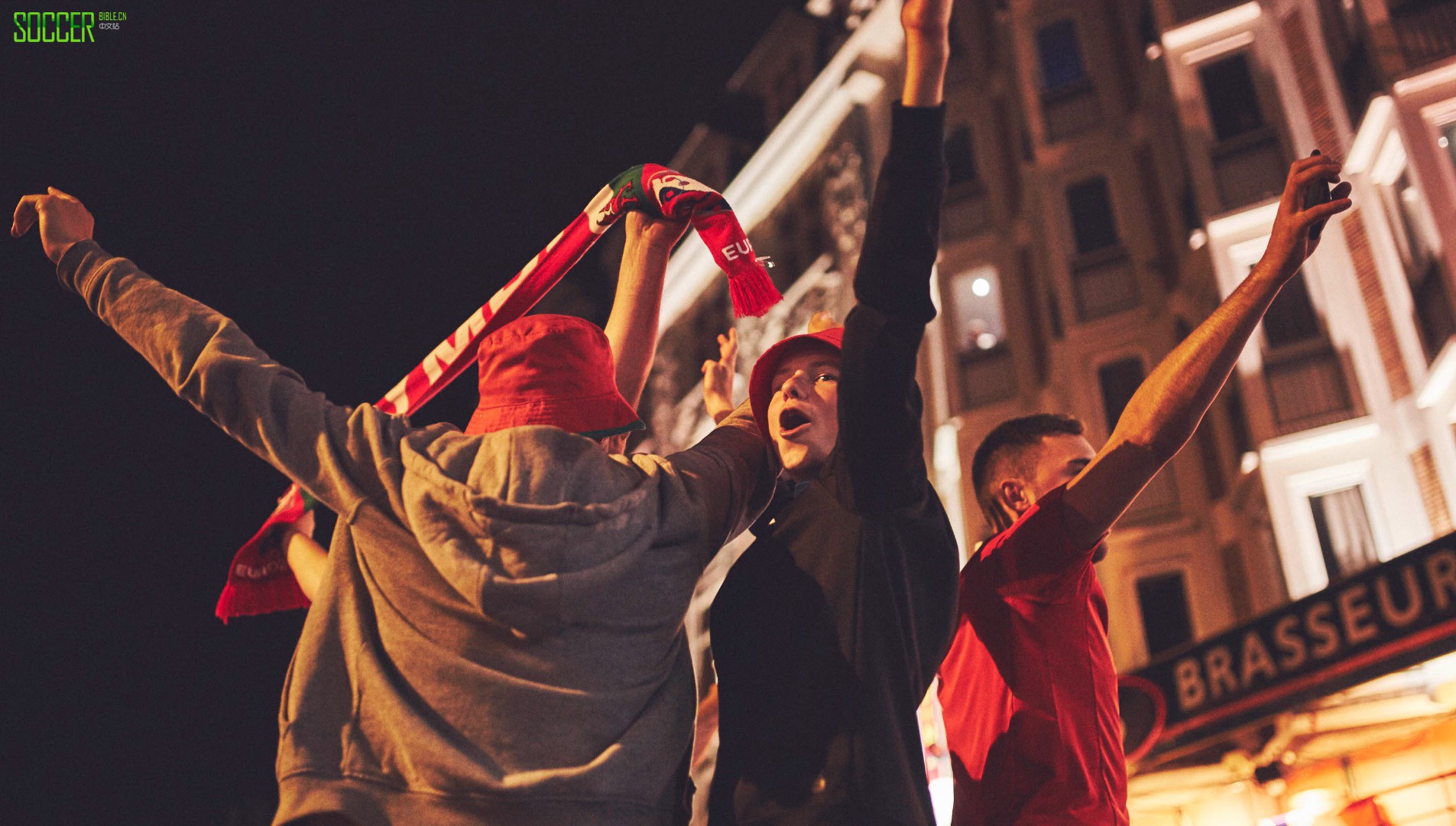 wales-fans-sb_0017_wales-fans-17