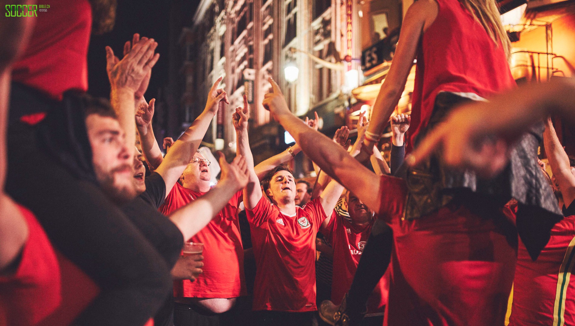 wales-fans-sb_0014_wales-fans-14