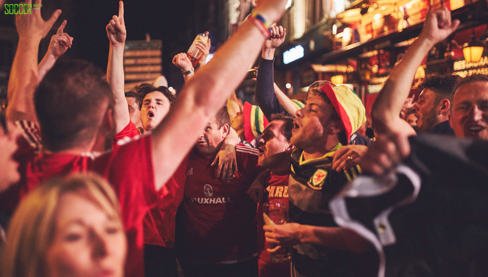 wales-fans-sb_0011_wales-fans-11