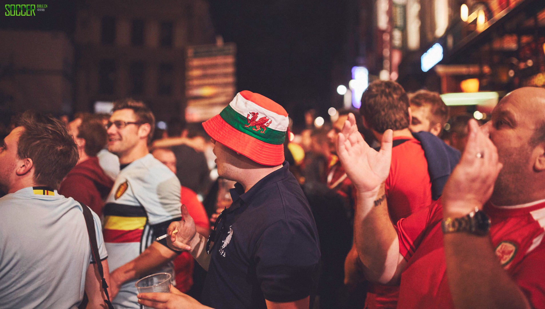 wales-fans-sb_0029_wales-fans-29