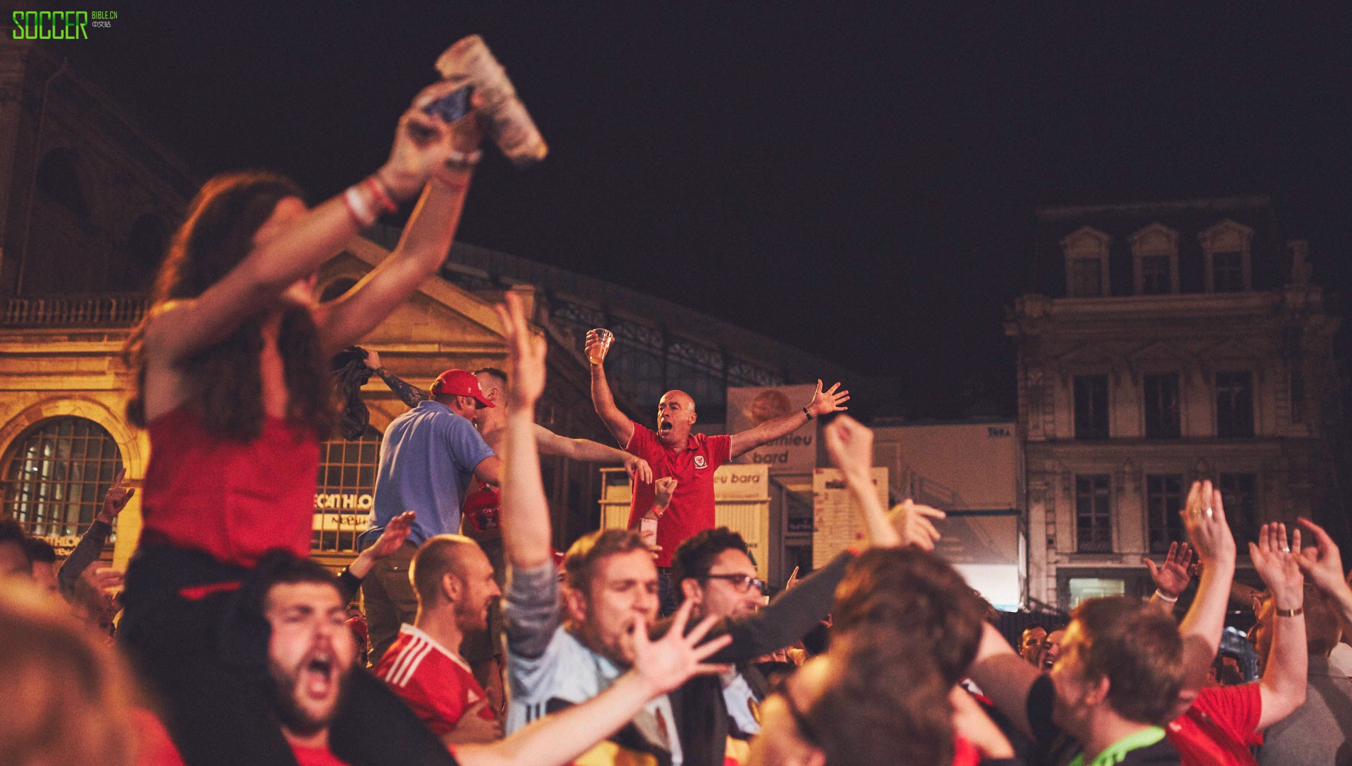 wales-fans-sb_0009_wales-fans-9