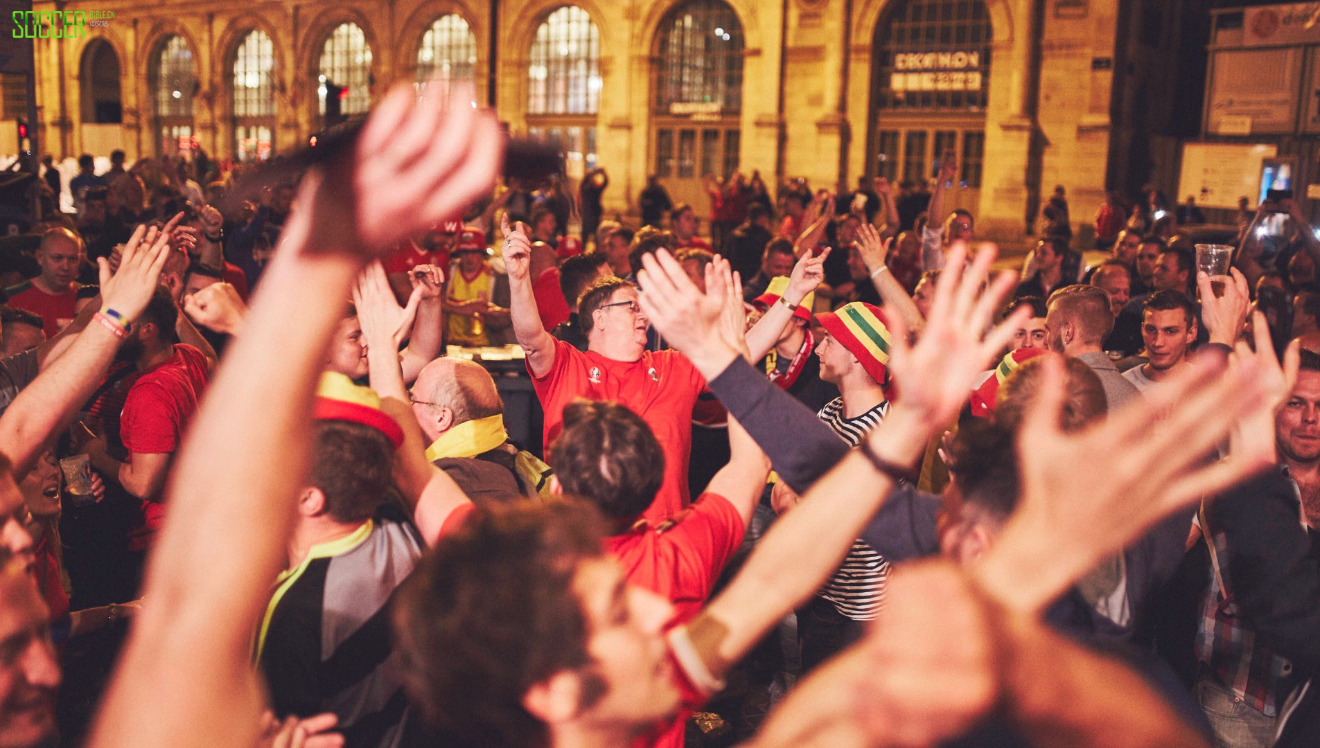 wales-fans-sb_0007_wales-fans-7