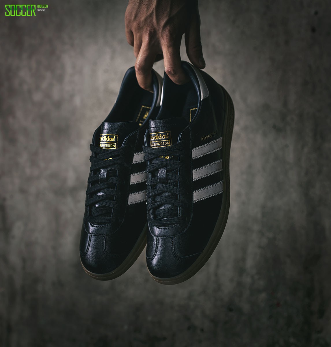 ϴ˹ASHINGTONЬ¾Ȳپʿ