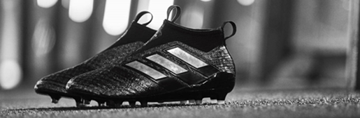 ����֮ҫϵ�� Ace17+ PureControl����Ь