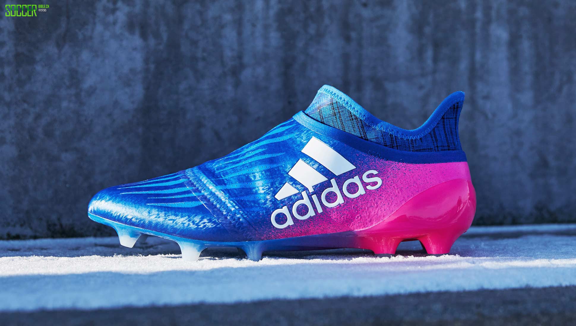 ϴ˹X 16+ Purechaosɫɫ