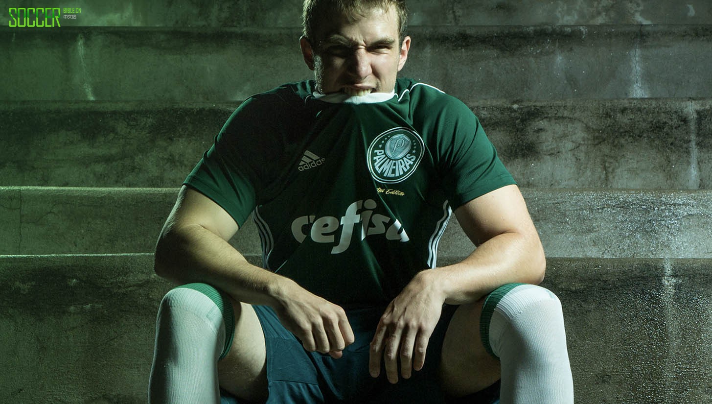 palmeiras_0007_470003