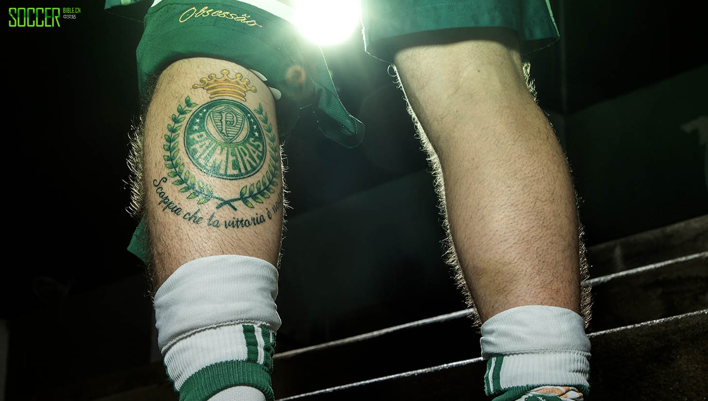 palmeiras_0008_470004