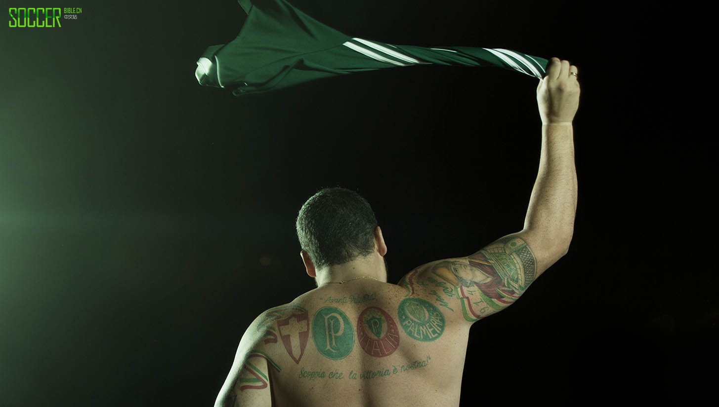 palmeiras_0012_470008