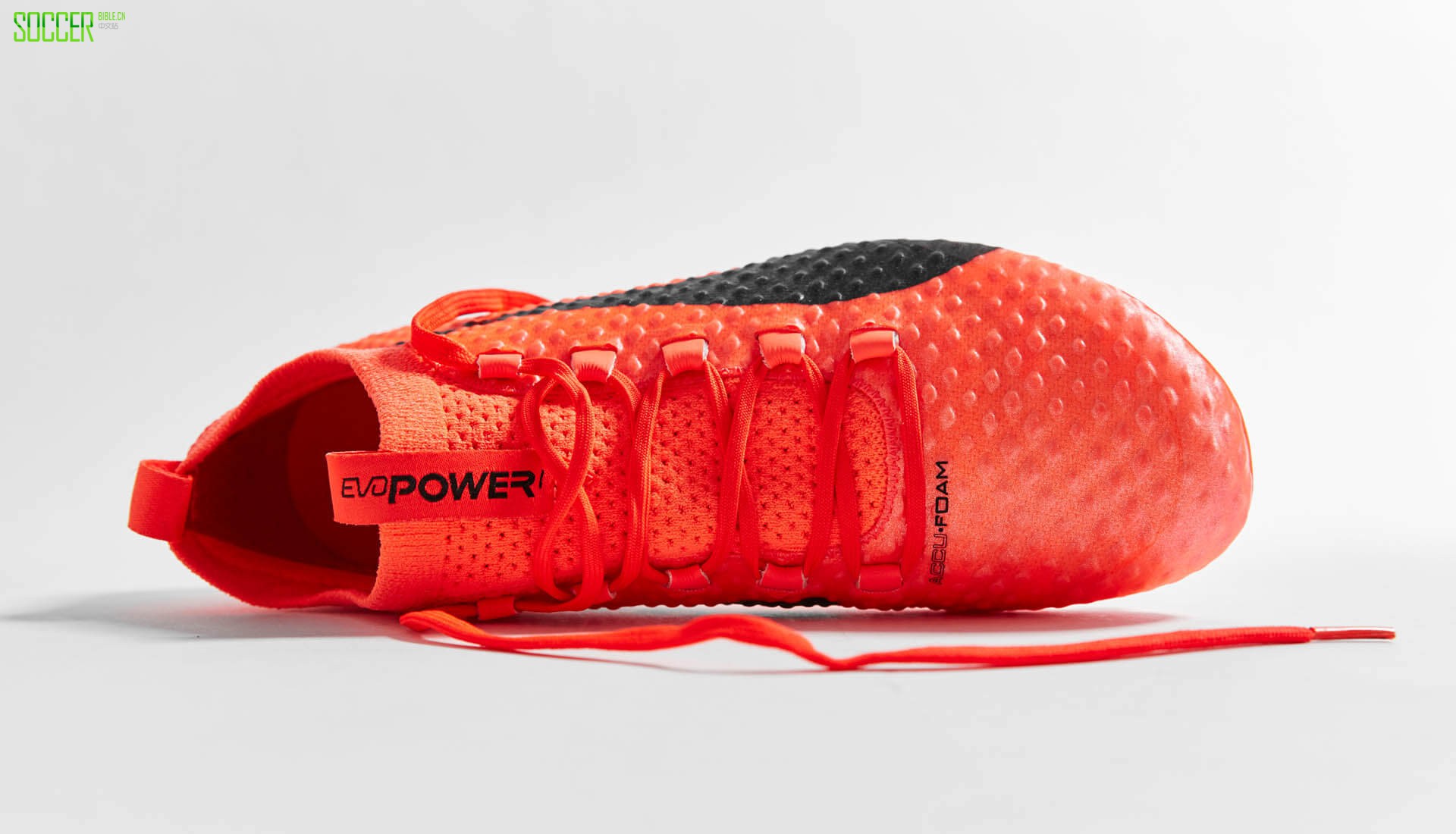 ǳ PUMA evoPOWER Vigor 1 3Dɫ
