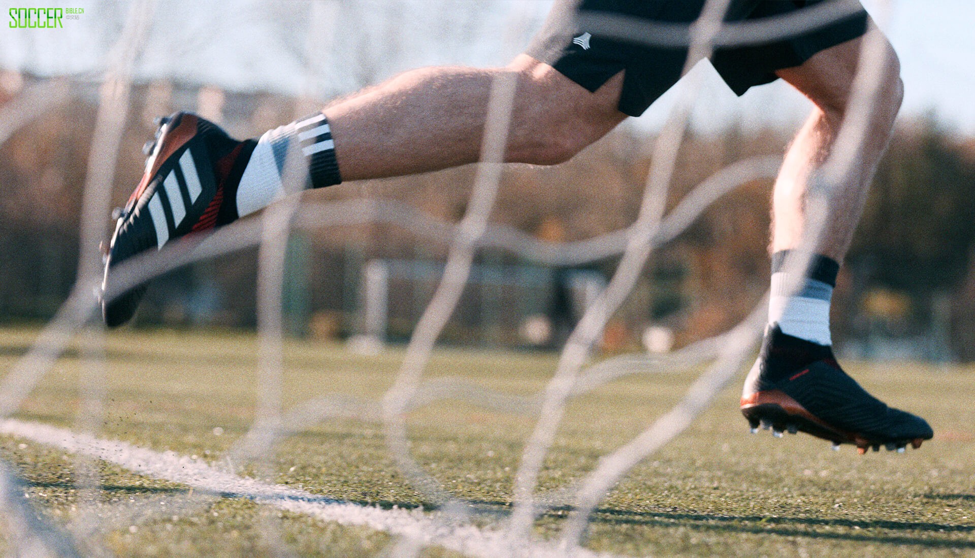 adidas Predator 18+ ϸ