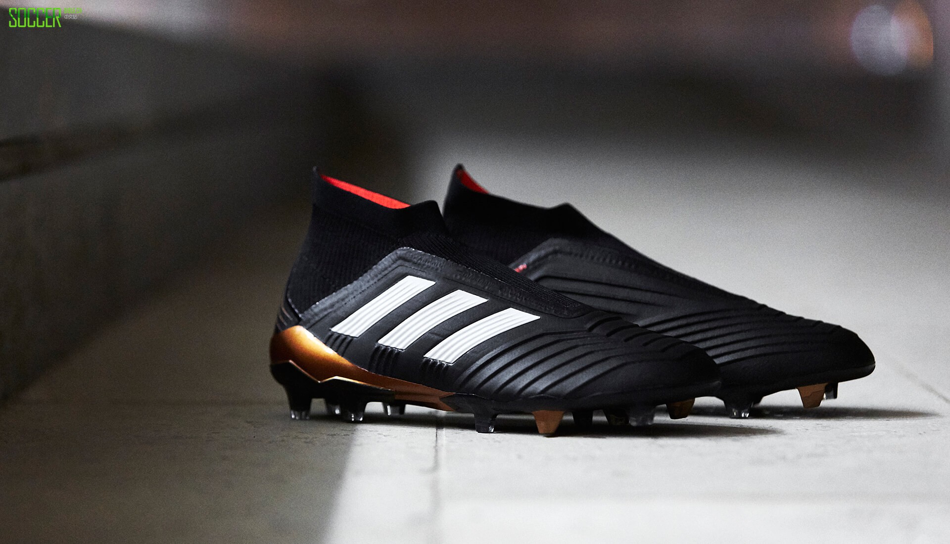 ʵӥ ϴ˹Predator 18+ʦ̸