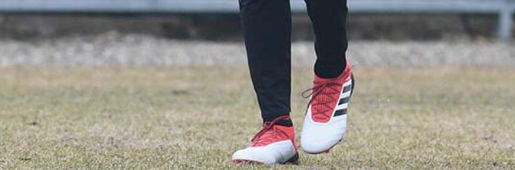 ״ѵϽPredator 18Ѫɫ