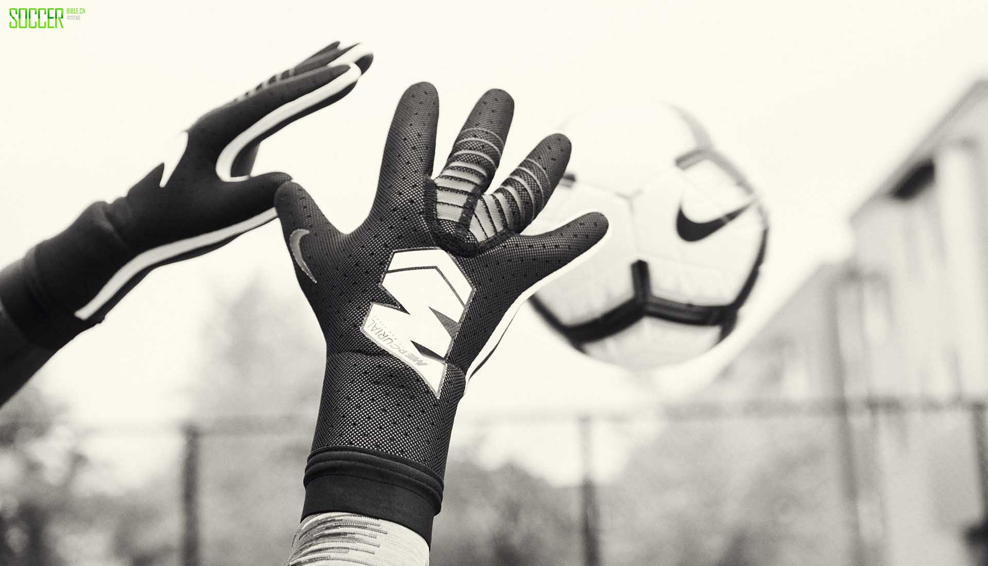 Ϳ˷Mercurial Touch EliteԱ