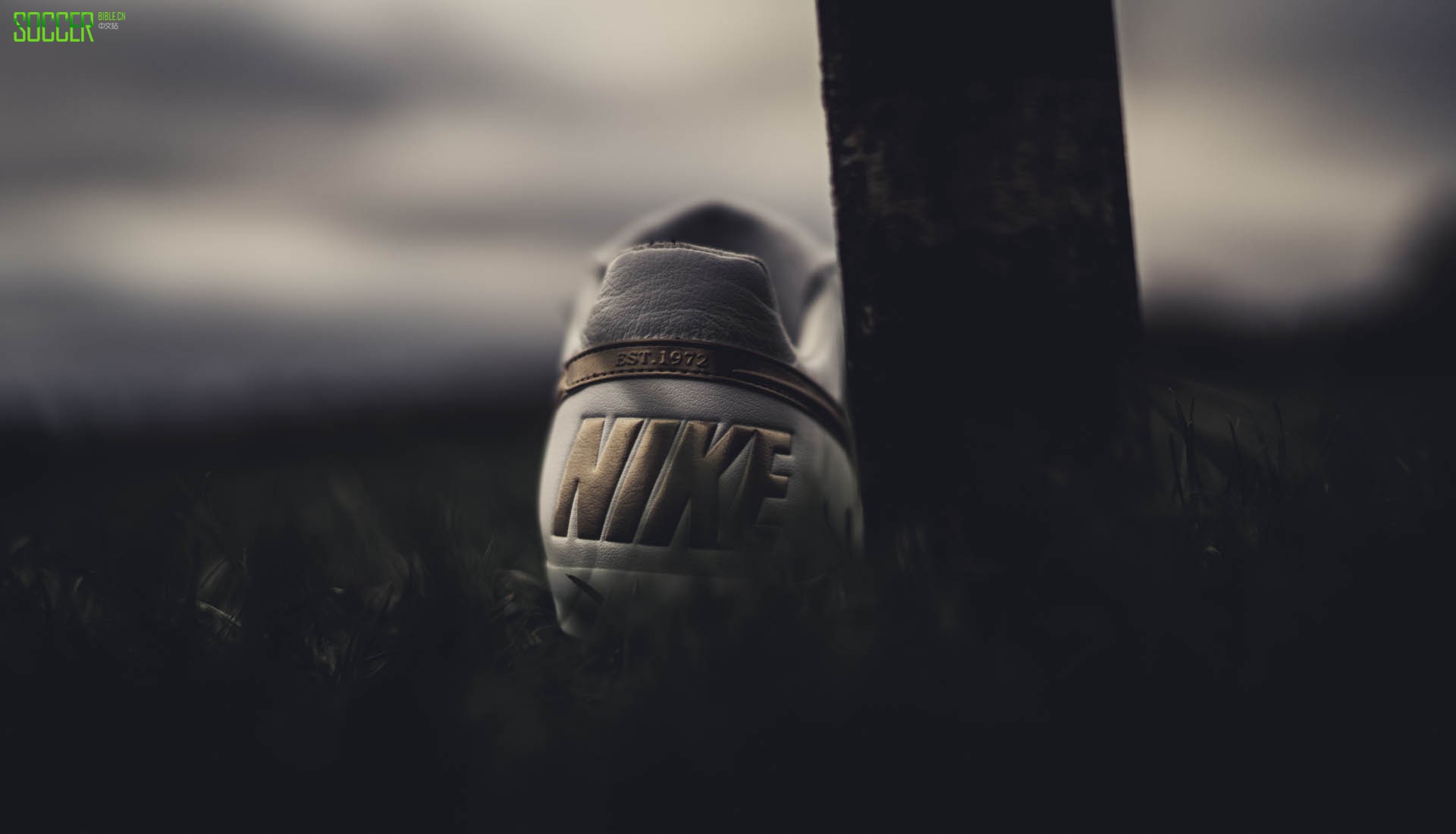 5-nike-premier-white-gold-r10