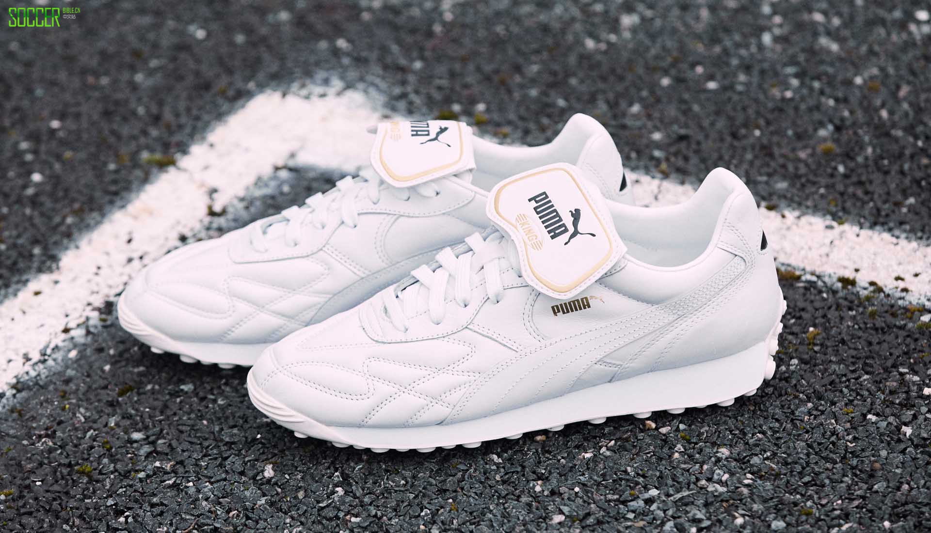 PUMAƳKing Avanti Premium˶Ь