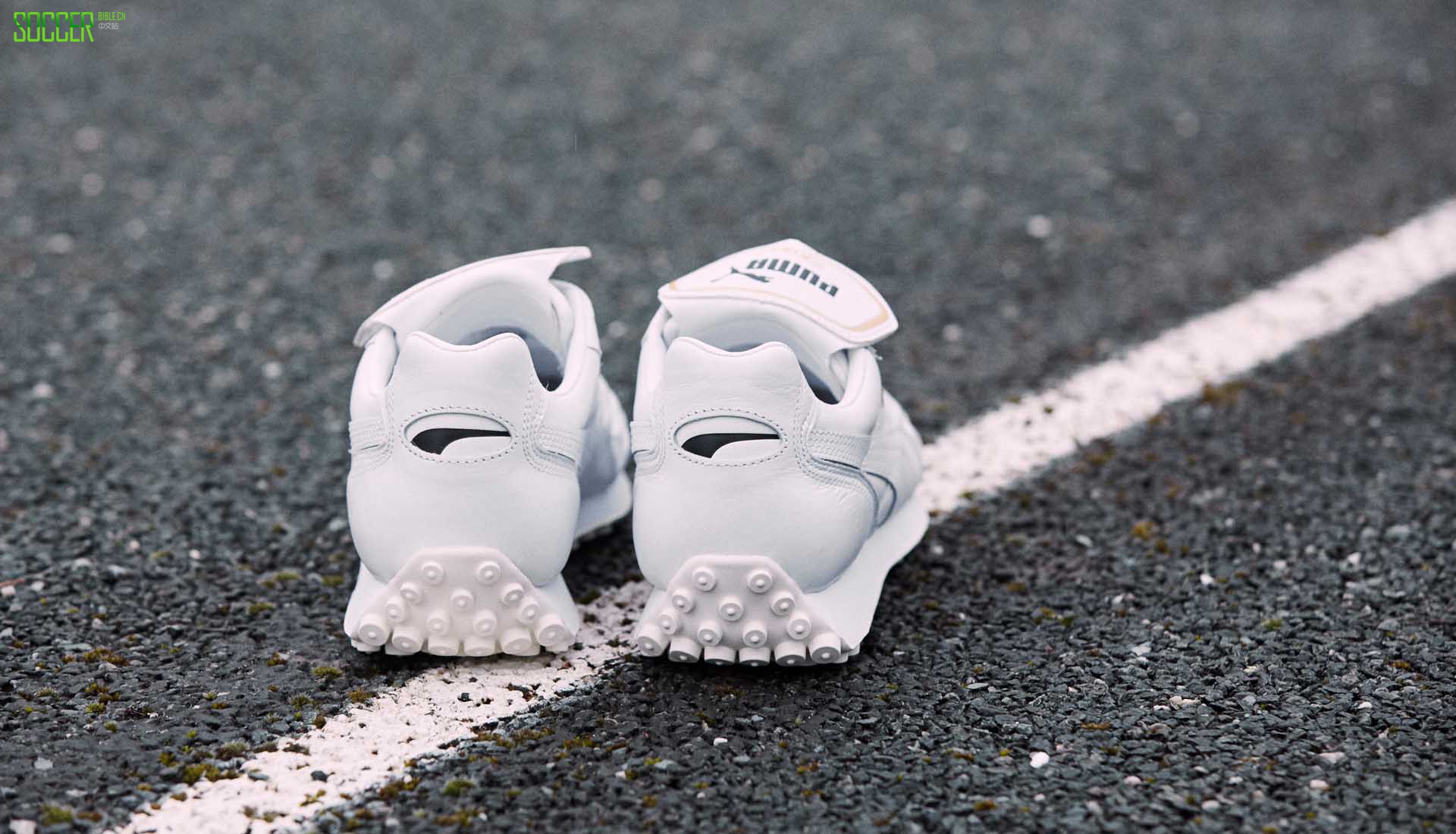 PUMAƳKing Avanti Premium˶Ь