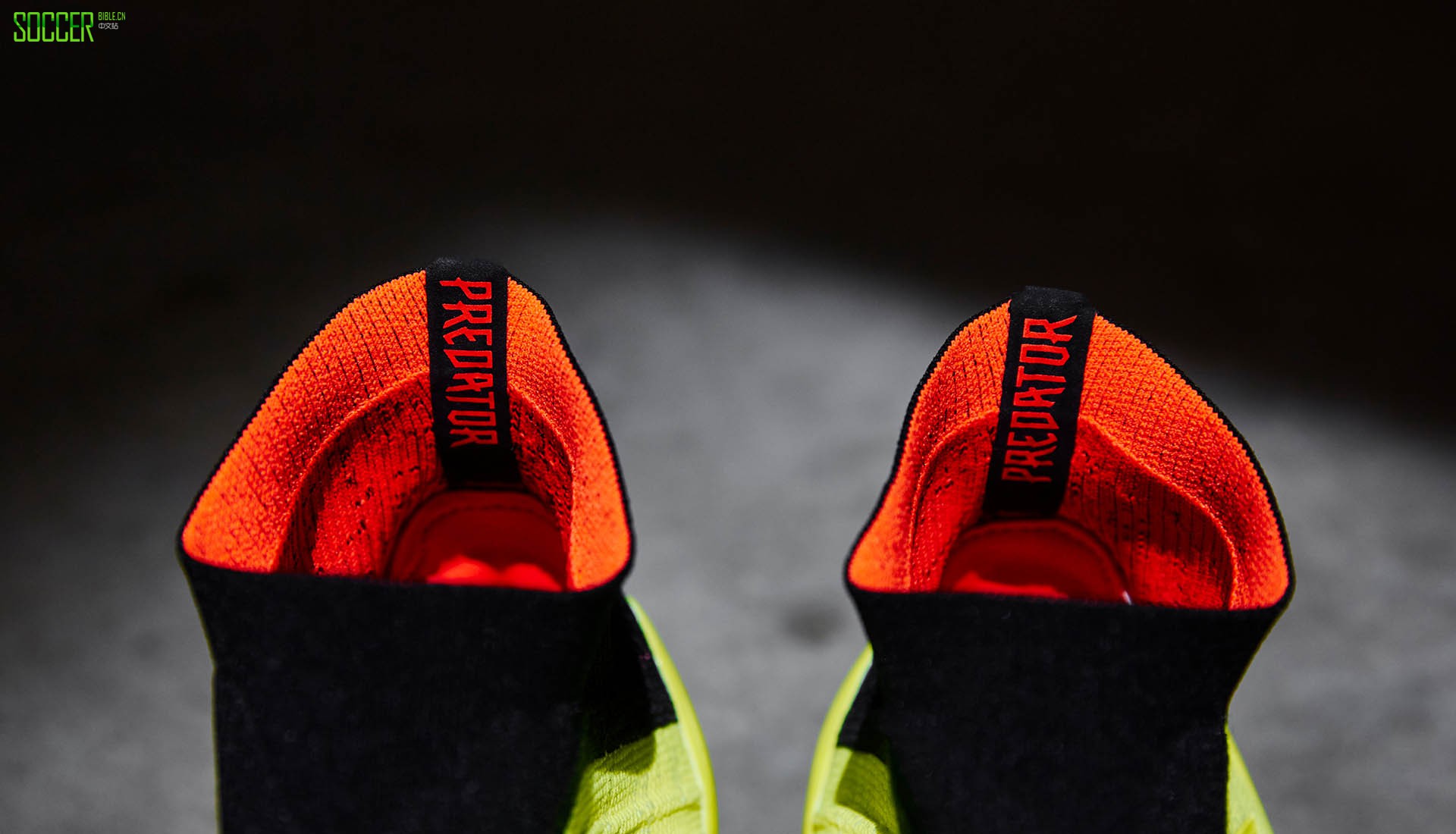 ϴ˹ӥTango 18+ TRЬ