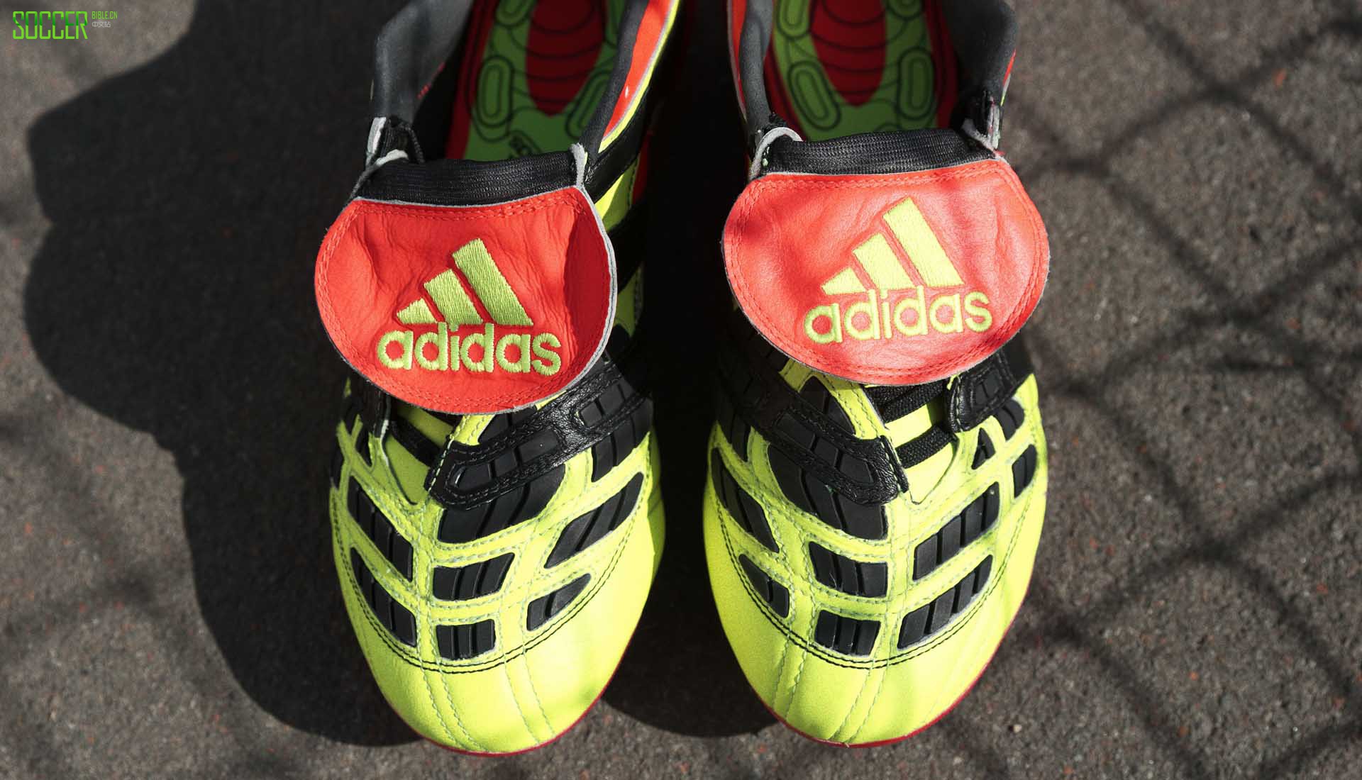 ϴ˹ƳPredator AcceleratorElectricityӥսѥ