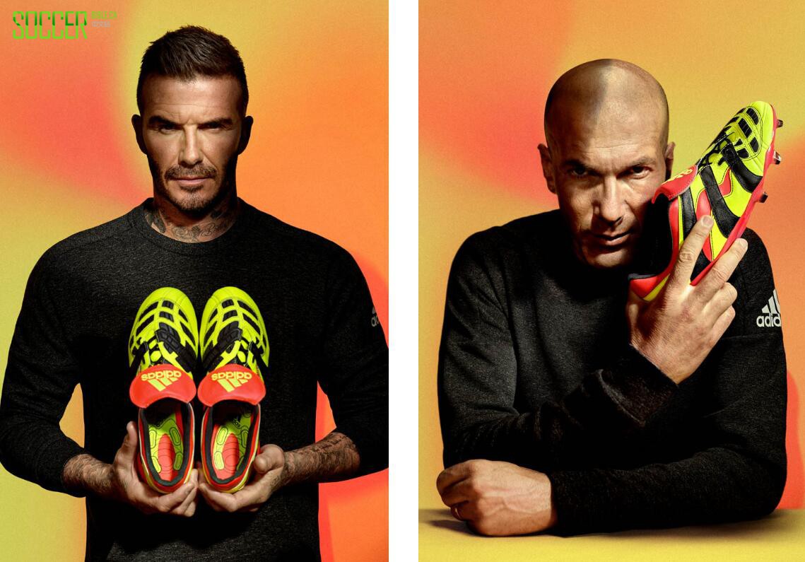 ϴ˹ƳPredator AcceleratorElectricityӥսѥ