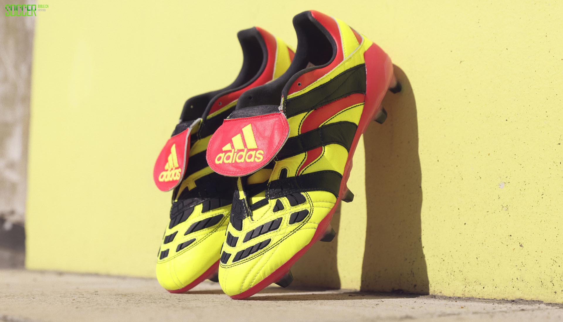 ϴ˹ƳPredator AcceleratorElectricityӥսѥ