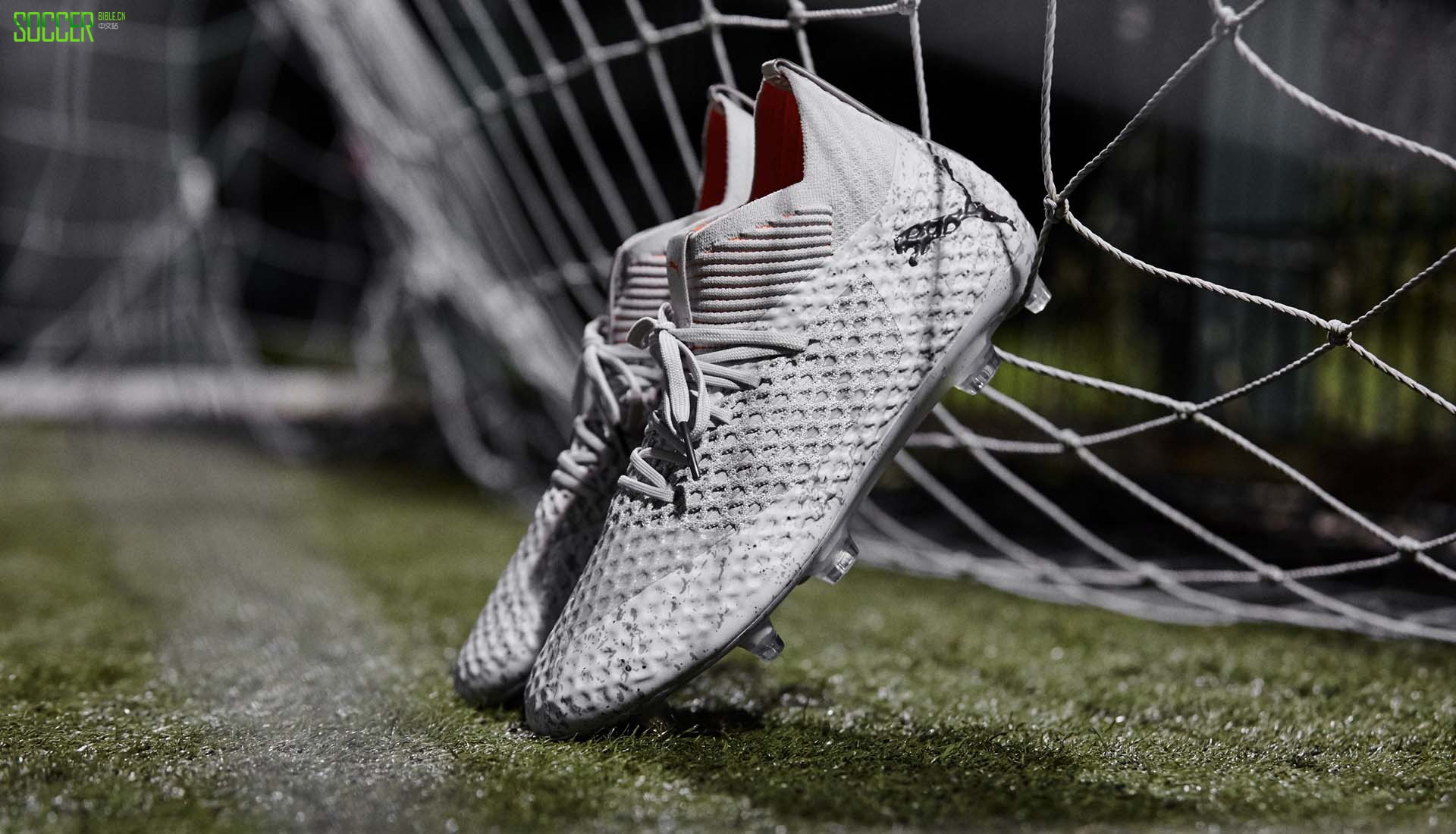 PUMAPro : Direct ׶֮ǡɫFuture 2.1