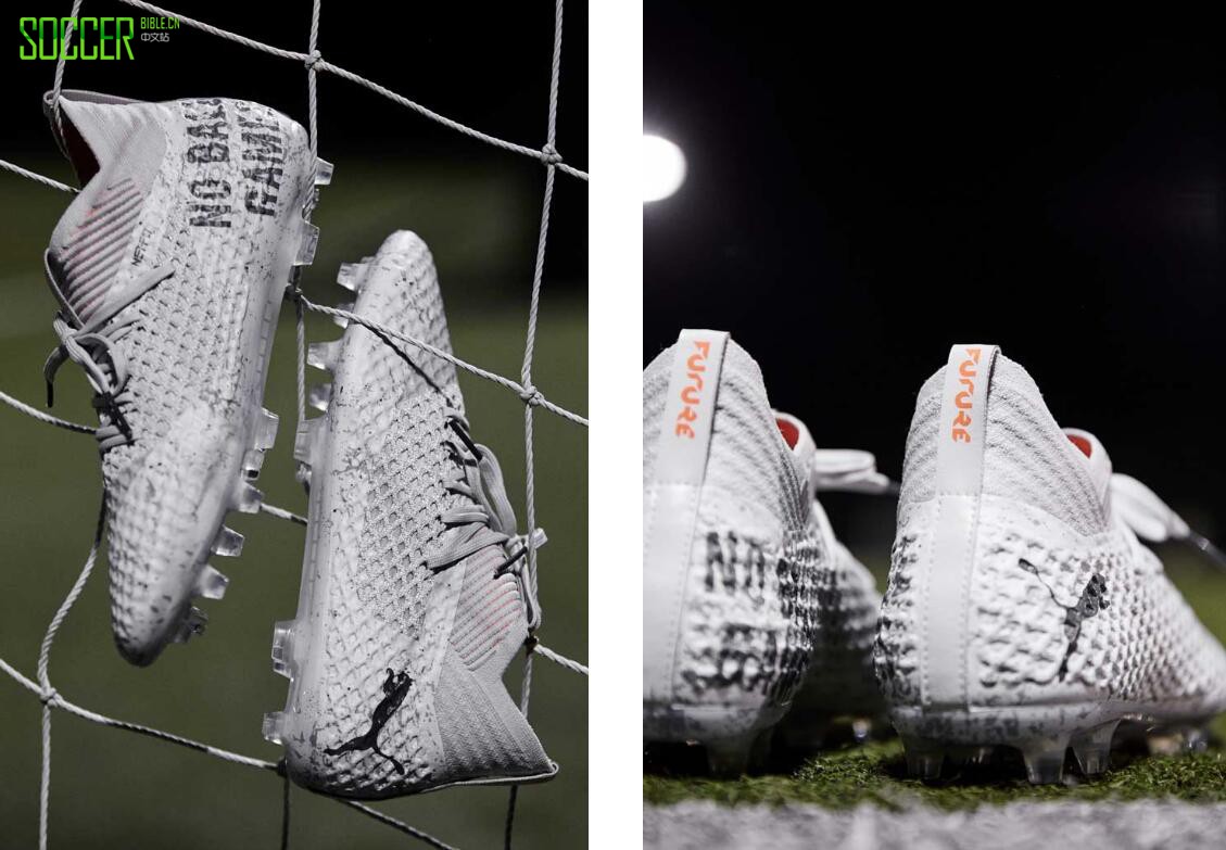 PUMAPro : Direct ׶֮ǡɫFuture 2.1