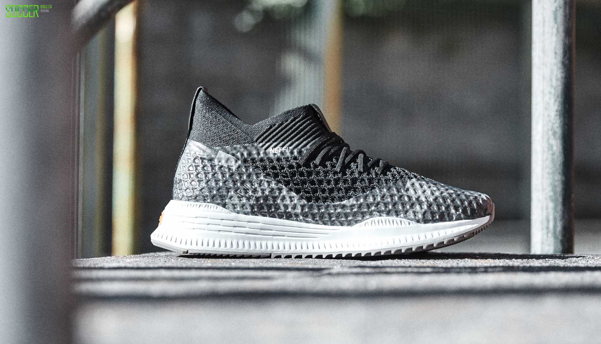 PUMAPro : Direct ׶֮ǡɫFuture AVID NetFit˶Ь