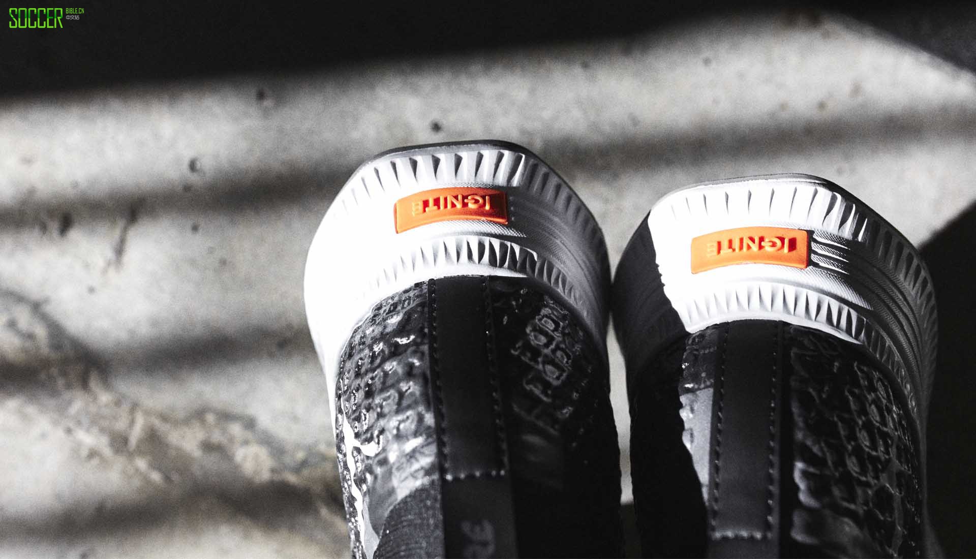 PUMAPro : Direct ׶֮ǡɫFuture AVID NetFit˶Ь