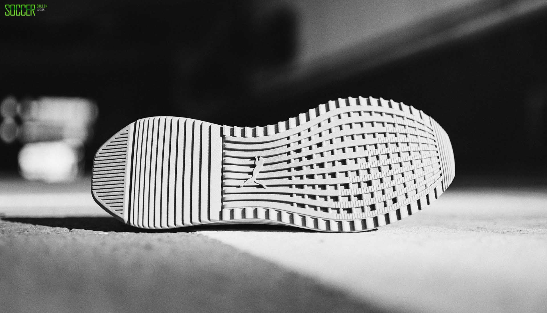 PUMAPro : Direct ׶֮ǡɫFuture AVID NetFit˶Ь