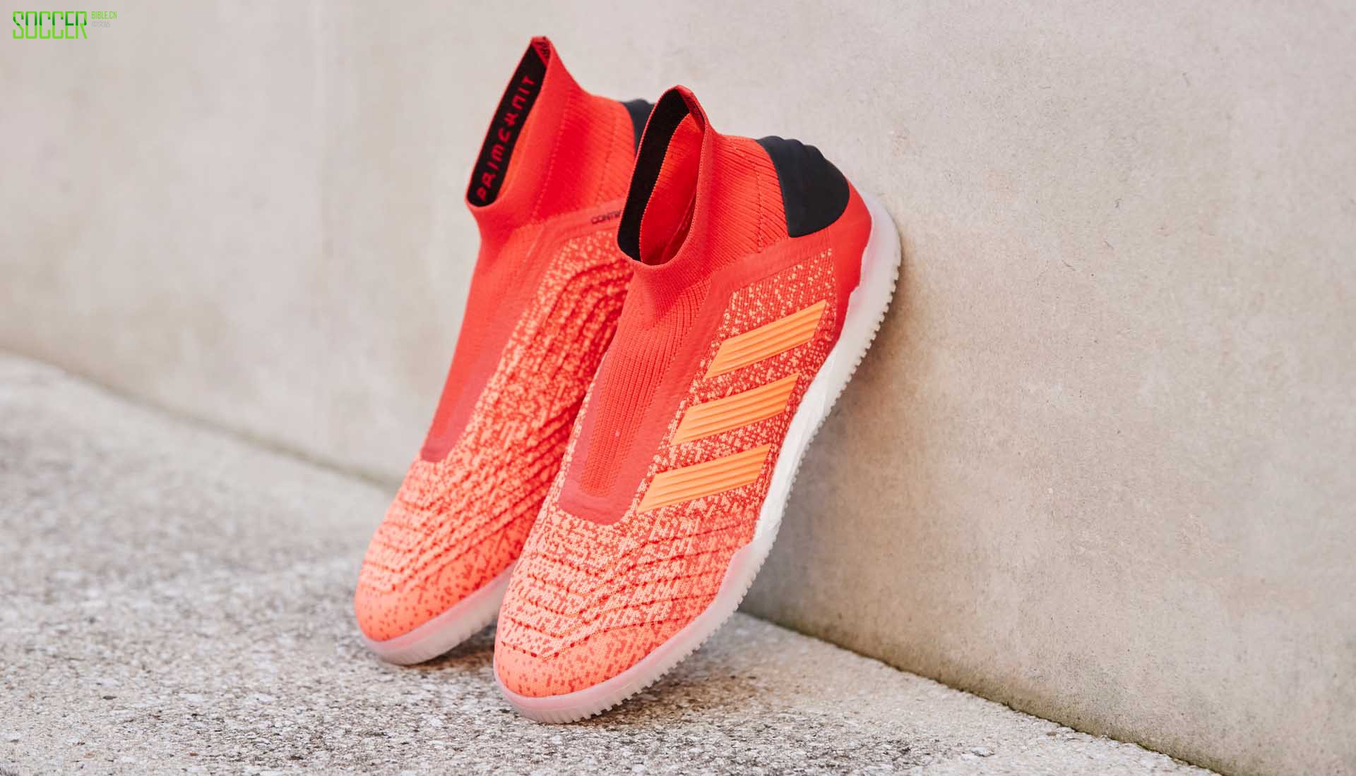 ϴ˹ӥTango 19+ԴװЬ