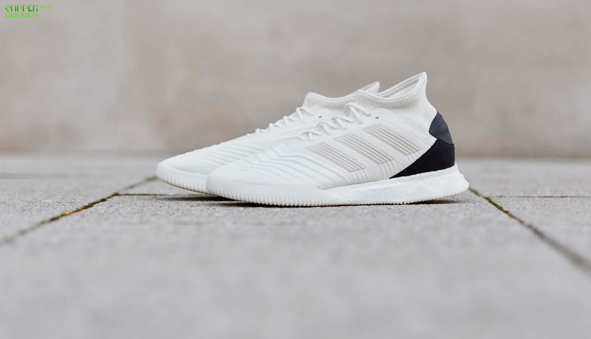 ϴ˹ӥTango 19.1װסɫ