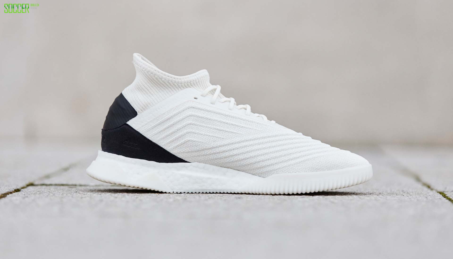 ϴ˹ӥTango 19.1װסɫ