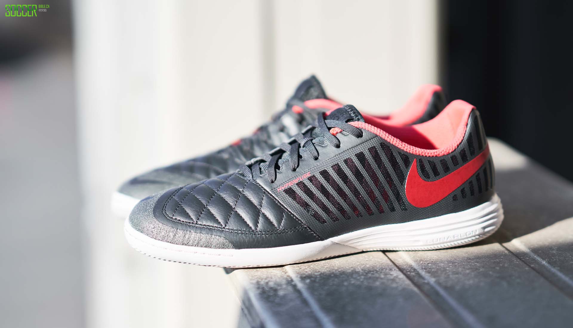 ͿʽС֮Lunar Gato II 