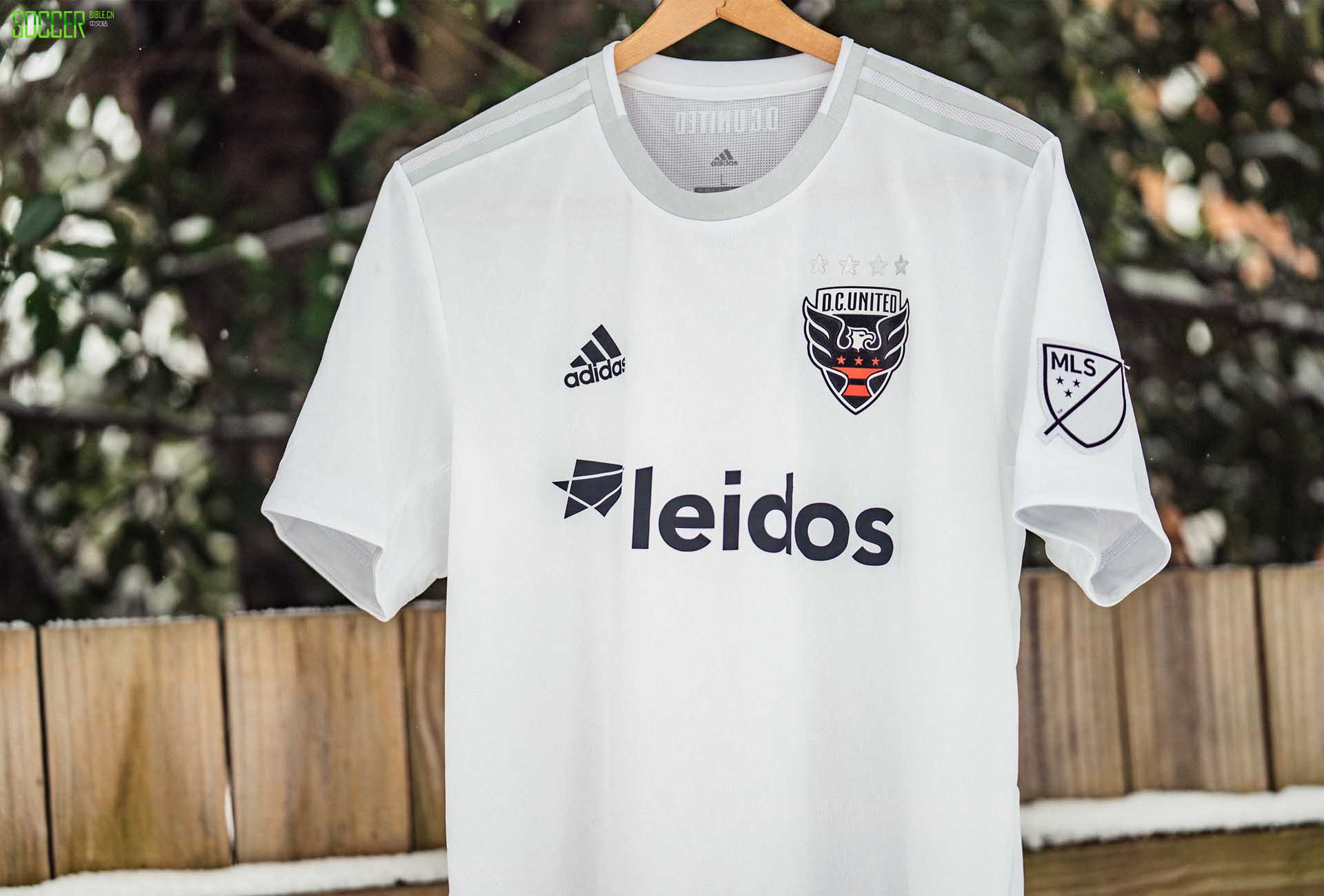 ϴ˹ƳȫµĻʢ2019ͳ