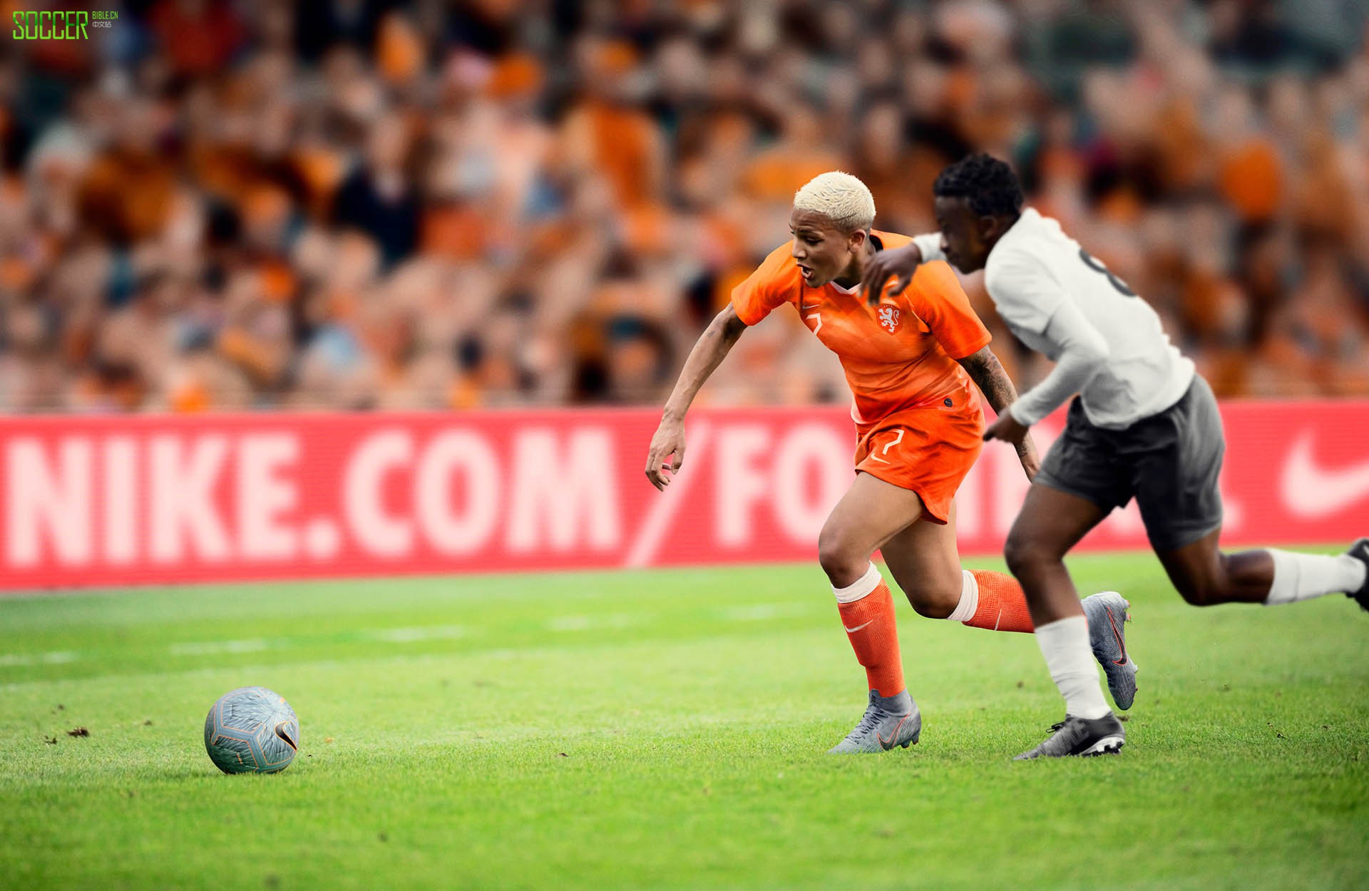 µŮ ͿڰΪ14֧Ҷӷȫս