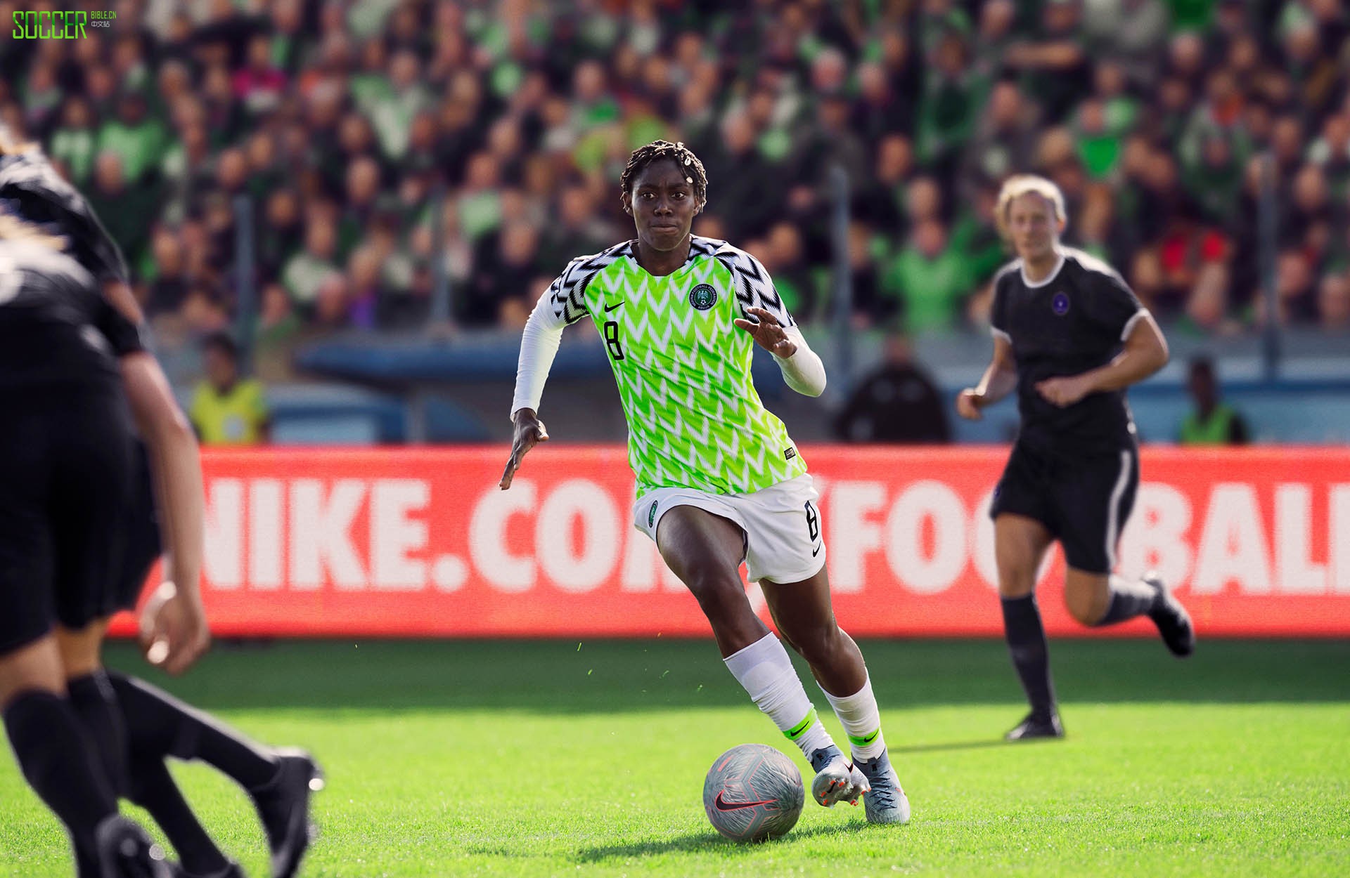 µŮ ͿڰΪ14֧Ҷӷȫս