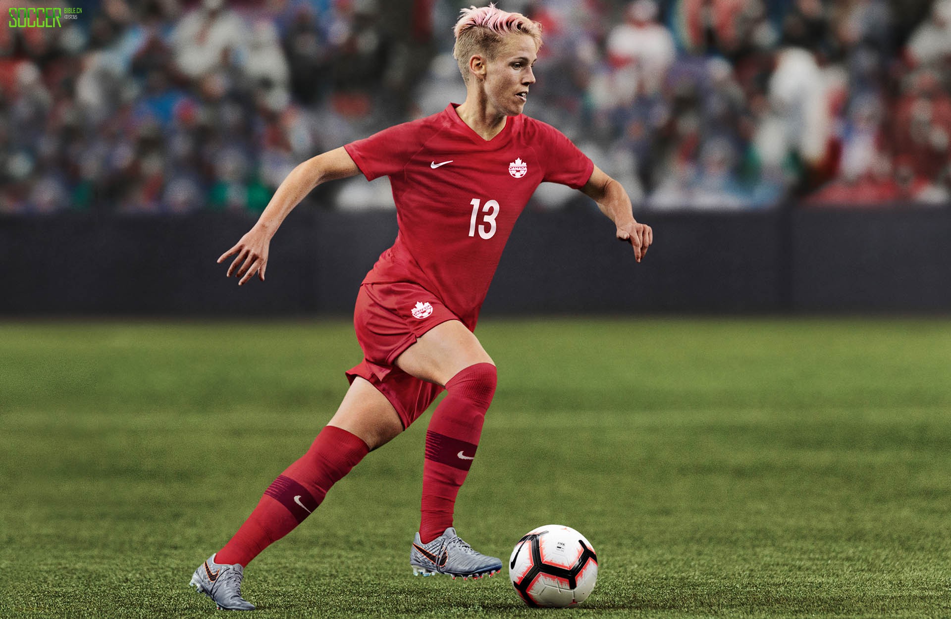 µŮ ͿڰΪ14֧Ҷӷȫս