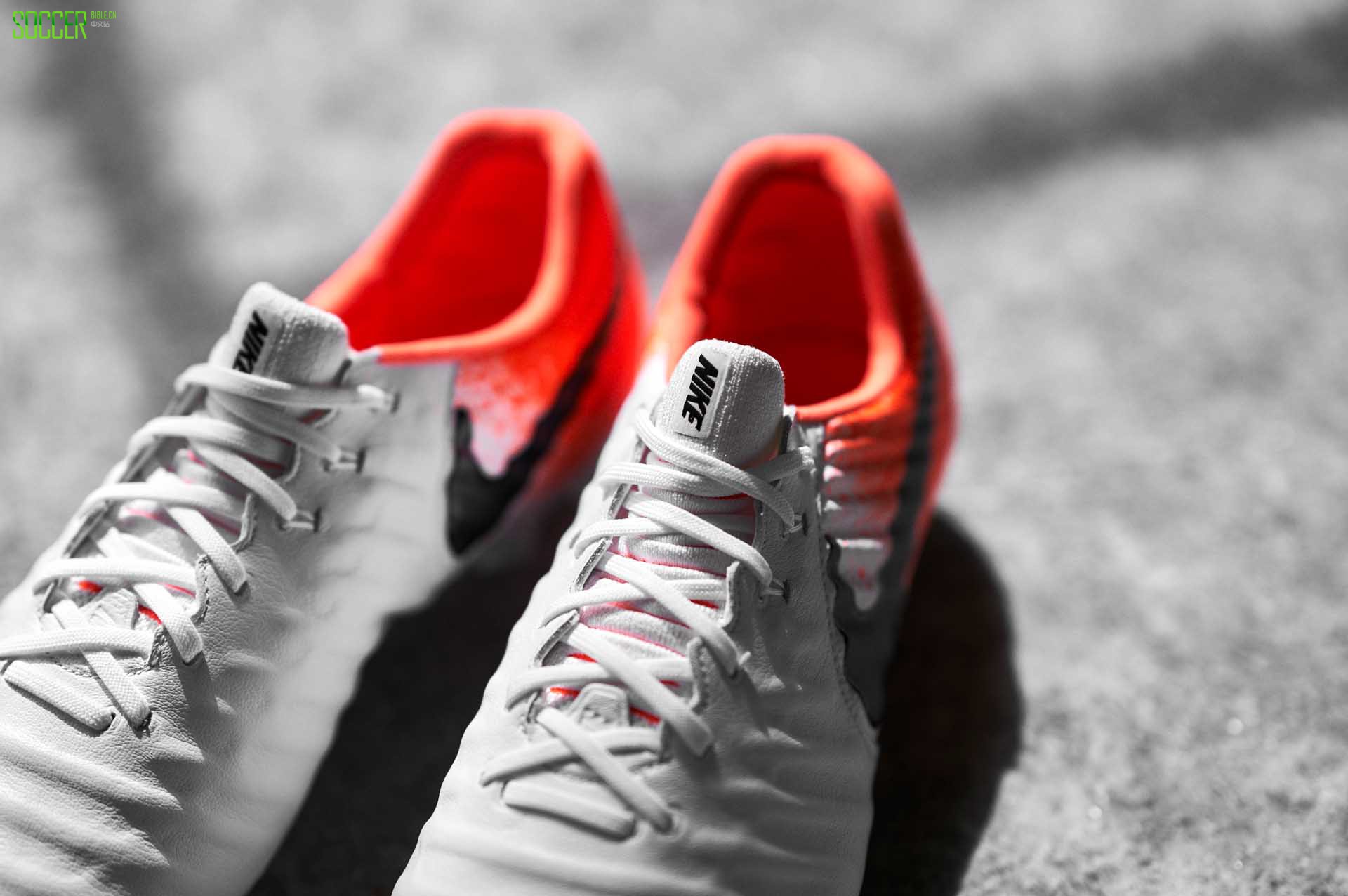 Ϳ˷Euphoria PackװЬ