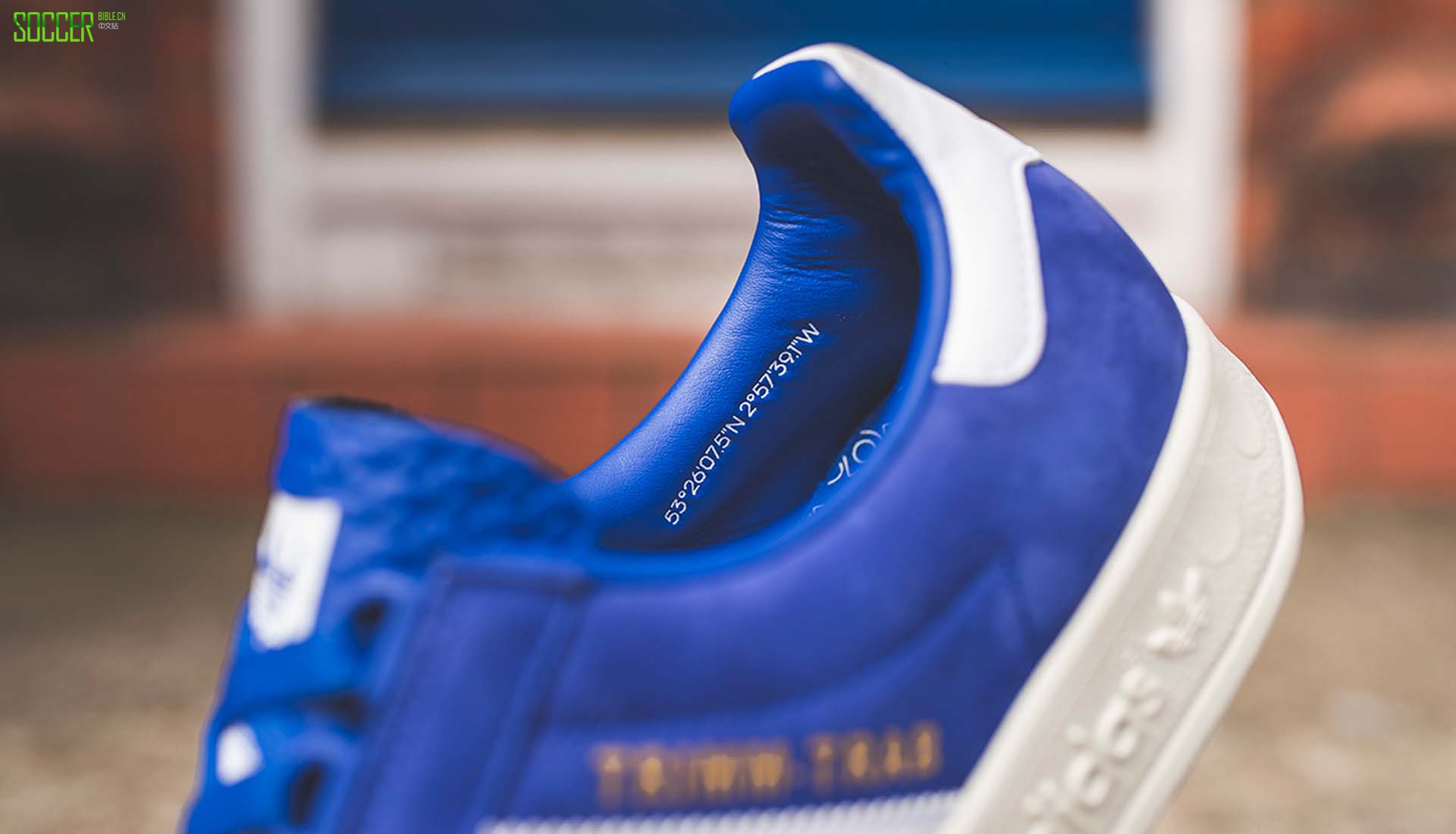 adidas OriginalsƳTrimm Trabs Merseyside PackЬ