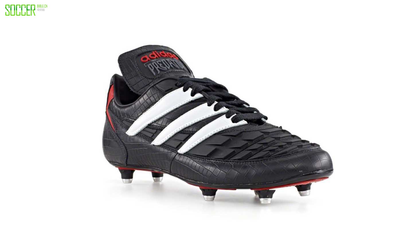 һ仰ϴ˹Predatorӥ ĸ