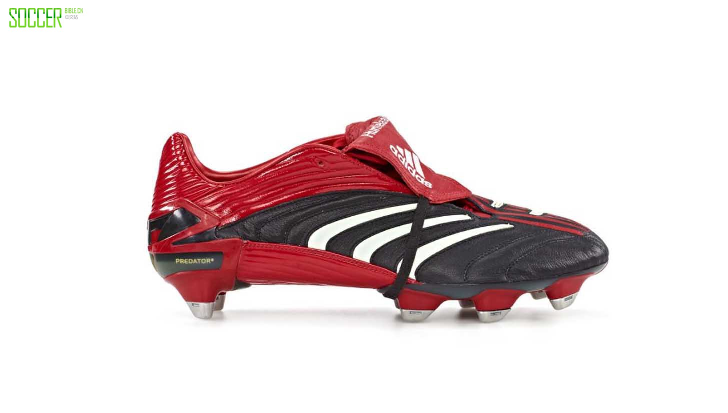 һ仰ϴ˹Predatorӥ ĸ