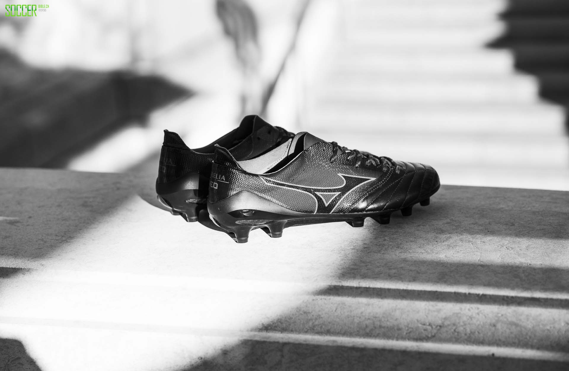 ŨMorelia Neo II Betaɫ