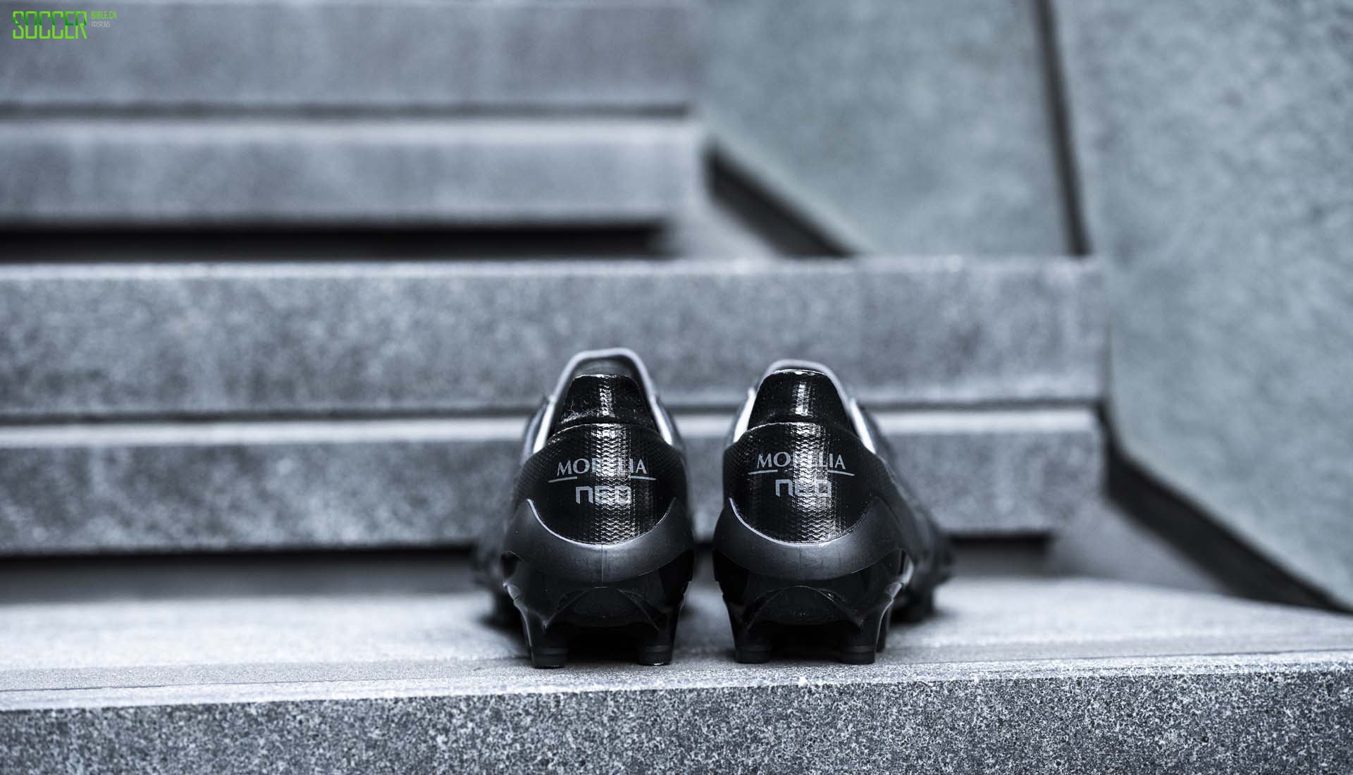 ŨMorelia Neo II Betaɫ