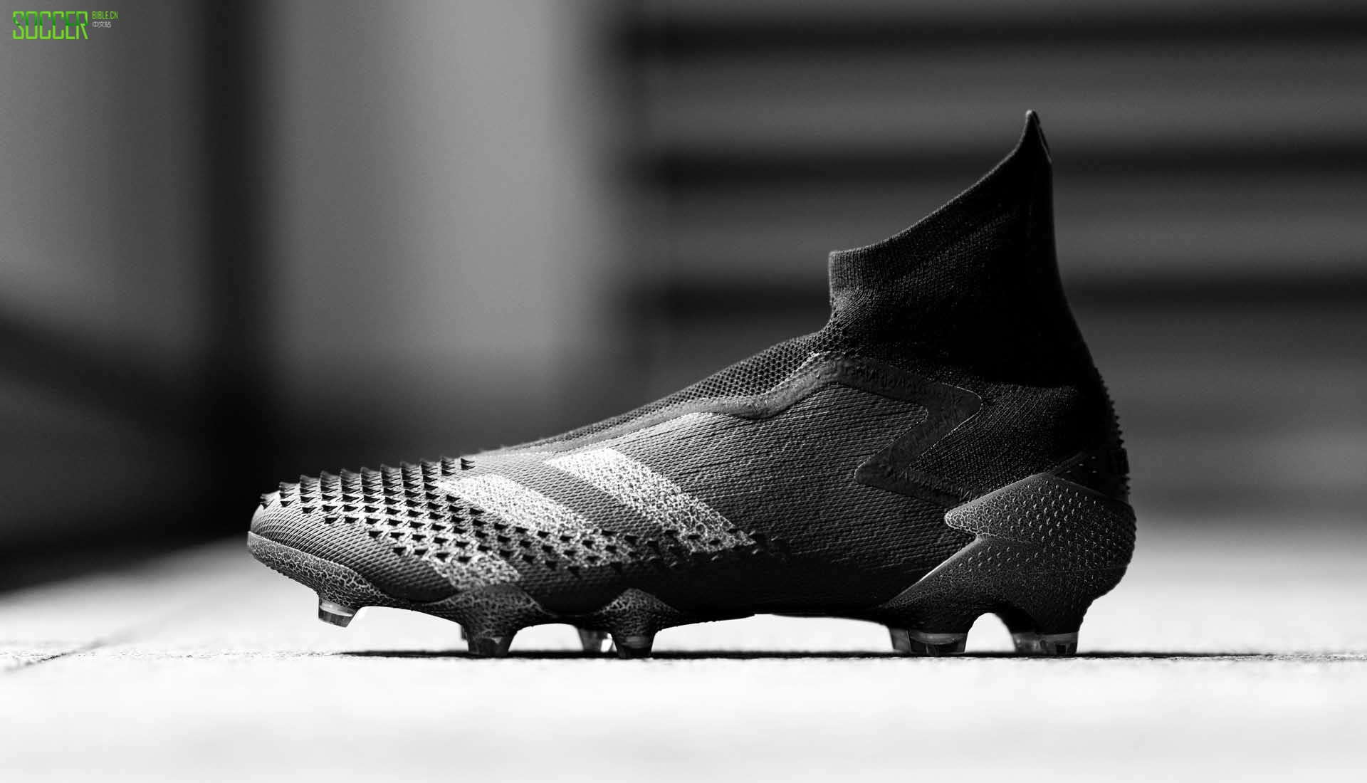 ϴ˹ Predator 20+ Mutator 