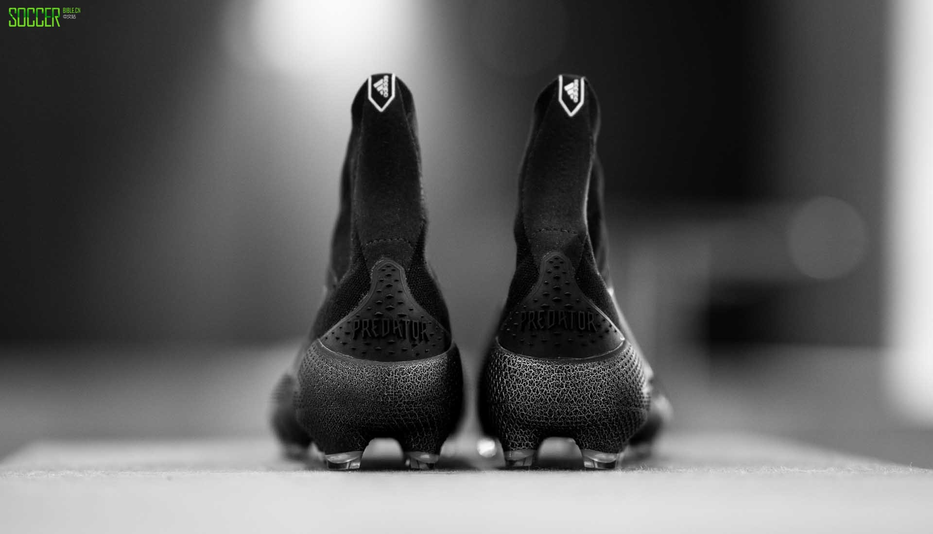 ϴ˹ Predator 20+ Mutator 