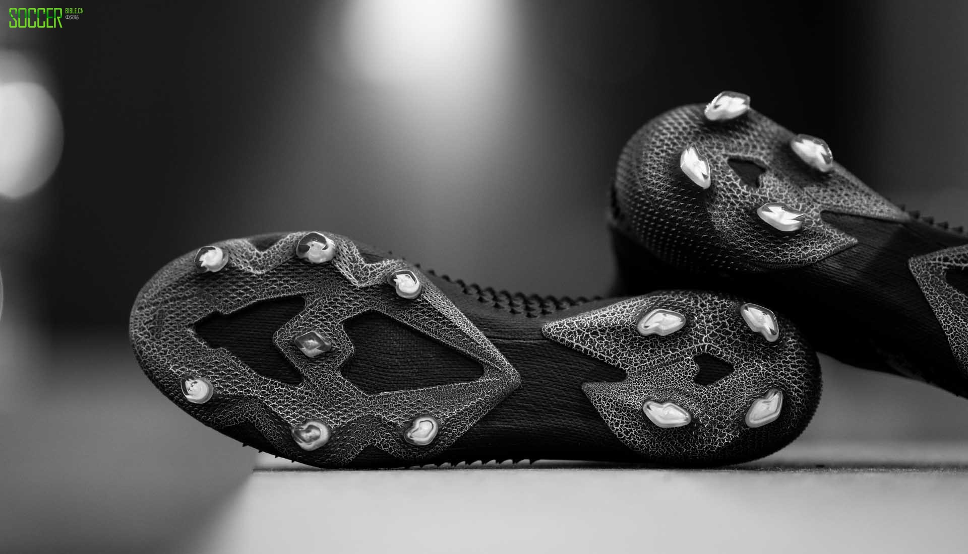 ϴ˹ Predator 20+ Mutator 