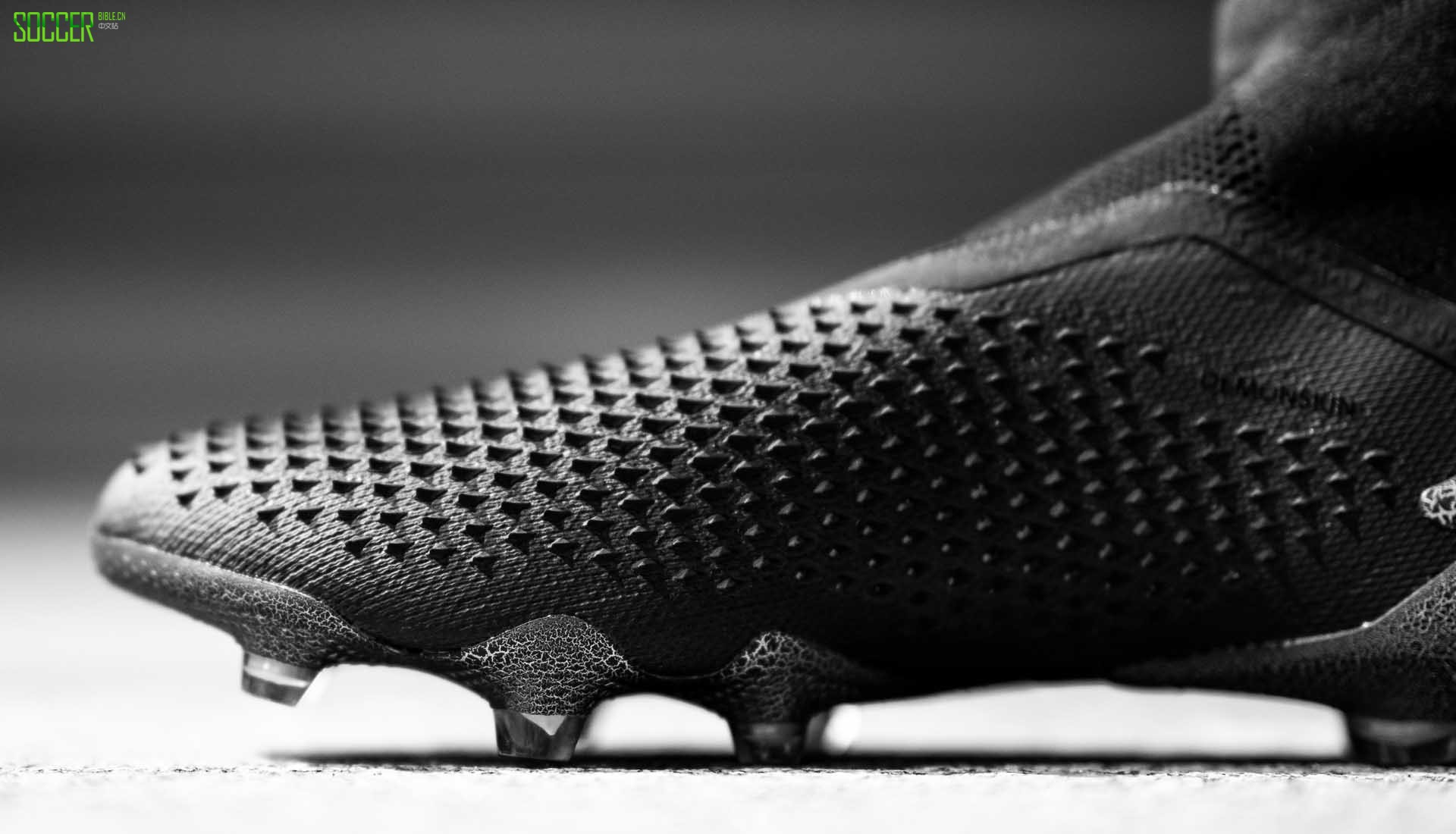 ϴ˹ Predator 20+ Mutator 