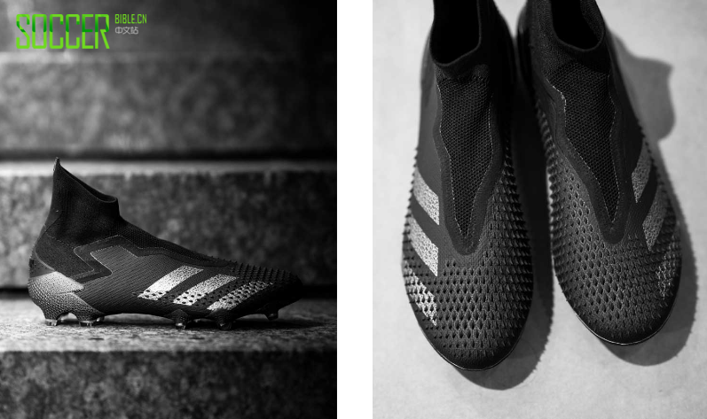 ϴ˹ Predator 20+ Mutator 